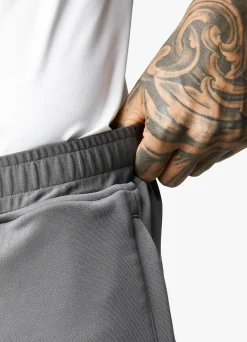 Gymwear<Gym King 365 Short Graphite