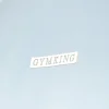 Twin Sets<Gym King Box Logo Tee Ashley Blue