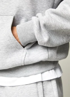 Sweatshirts & Hoodies<Gym King Established Hood Light Grey Marl