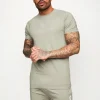 T-Shirts<Gym King Pro Jersey Tee Soft Khaki