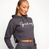 Hoodies<Gym King Sky Script Hood Steel Grey/White