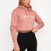 Hoodies<Gym King Sky Script Hooded Crop Brick